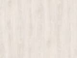8fe98d98-3043-4a99-8d44-e2b4293dce2f.webp