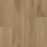 92fdd2f0-f445-4bc0-9c5d-6ec077faecbd.webp