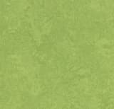 9425ab65-825b-43e1-8b14-9e8232cdc654.webp