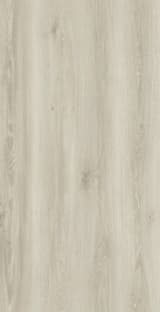 9cbe6905-0efc-41b3-a71b-a622049c2cf0.webp