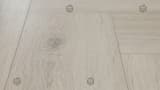 9f820577-1f86-4289-b169-2d76777c382a.webp