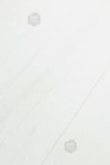 a181e064-674a-4664-9171-84f1dec3111d.webp