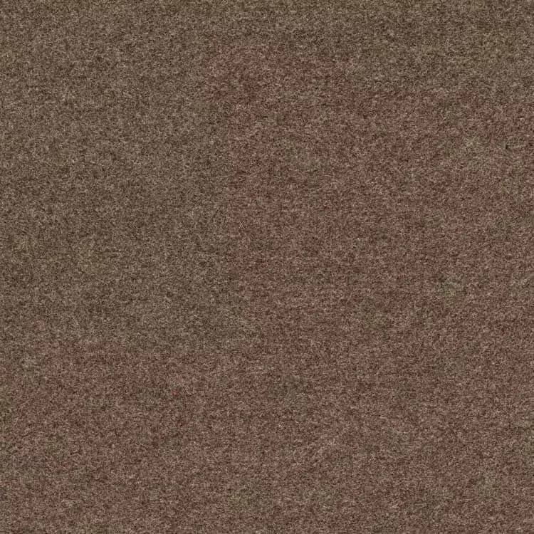 a43cfbe9-82c4-4392-a197-674188aeb92e.webp