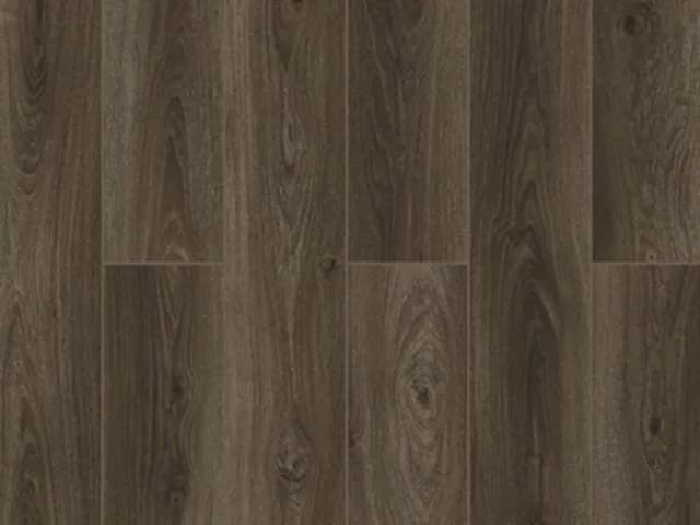 a8c59d91-5e14-43c4-9c05-e1d2aad3d13a.webp