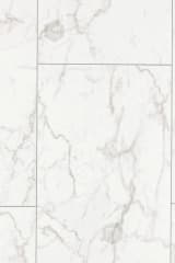ab0e36d3-ce21-4cc4-80f5-a4bccc9db872.webp