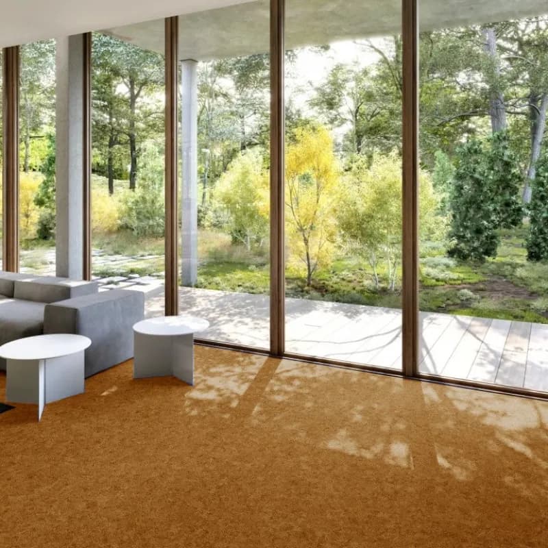 af67f4e7-cd6d-4e3d-9e4e-a680f61c1507.webp