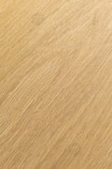 b3003b19-b0ed-4c1d-bbc2-fcb4f609e036.webp