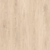 b899ab30-6586-4e03-81e4-9d191c1255e9.webp