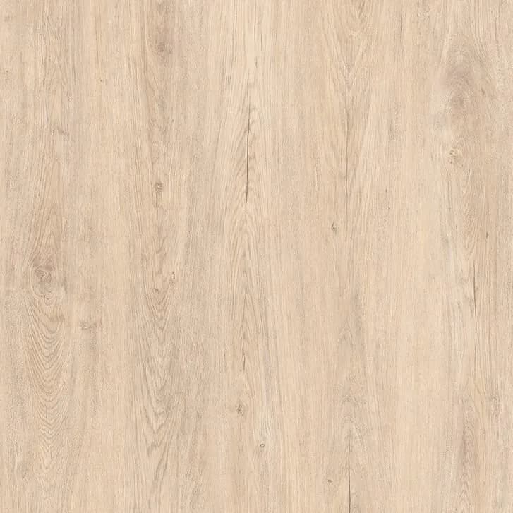 b899ab30-6586-4e03-81e4-9d191c1255e9.webp