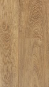 c4d36b50-438b-432a-a8e8-56158cc4dbbd.webp