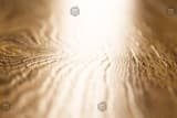 ce1b2ae5-0d8d-4826-b23d-885ae7af4824.webp