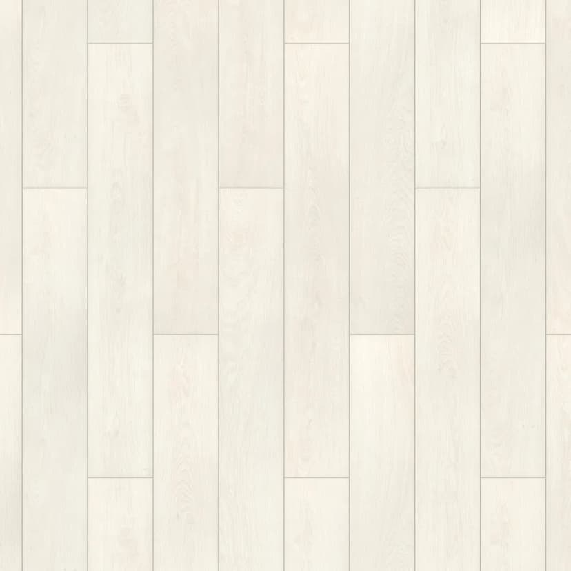 ceed1456-2b1e-405e-926f-47aee50e37e5.webp