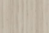 cfc9787e-3224-4006-96f5-95cb3528351a.webp