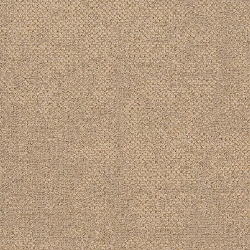 d072d2ad-bfc7-48b9-b33e-403d206653a6.webp