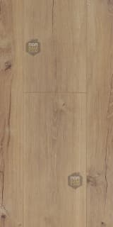 d21339a1-c0c9-41f4-97d4-15ea3dcb8071.webp