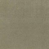 d3c81753-74e5-4a1f-91e8-4e586eeaca41.webp