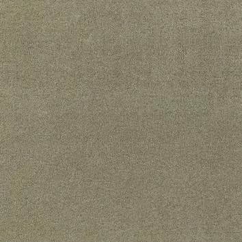 d3c81753-74e5-4a1f-91e8-4e586eeaca41.webp