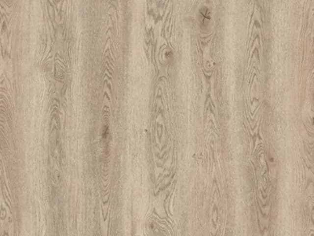d8bdac18-f087-4723-8ed2-329eb3cc8a31.webp