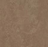 dd48104e-c876-44b8-8a95-5ab40faca407.webp