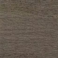 Линолеум Gerflor Taralay Initial Comfort 0069 Wood Noisette
