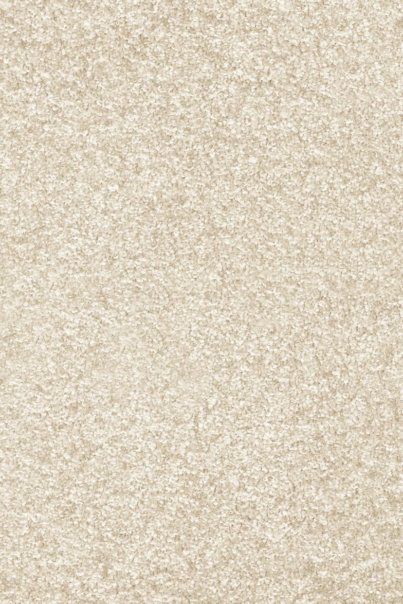 e2dccdf4-81f8-4cf1-90b4-8f3cf5f35c44.webp
