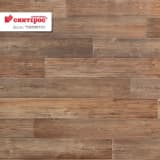 e439f90c-bf5f-48dc-b34f-5f3a41706bb7.webp