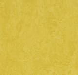 e49aa60a-b66d-47e3-a4c3-af1d14a83a76.webp