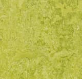 e7fd59e6-cf35-4d0e-a504-b0fd4d4eef14.webp