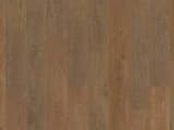 f6815b47-0577-479b-b9b6-5c3316480167.webp