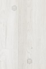 f7bc2ee0-f9e8-4257-a184-a3dea53505c2.webp