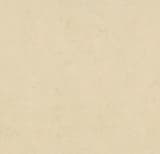 fe572712-2395-496f-a563-2b1c29e73e41.webp