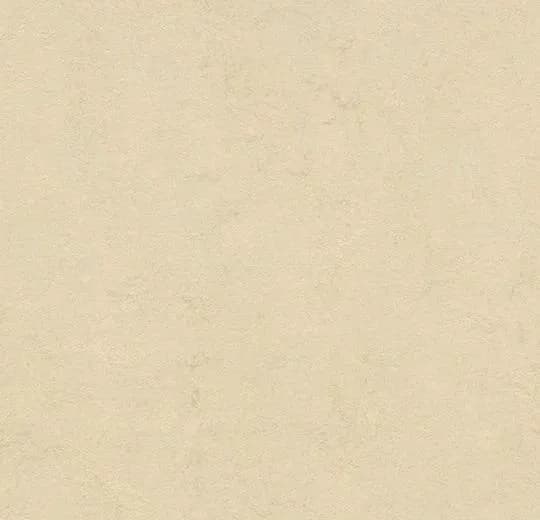 fe572712-2395-496f-a563-2b1c29e73e41.webp