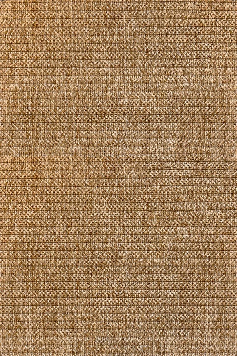 137b81ae-b647-4832-b412-b30b303b4848.webp