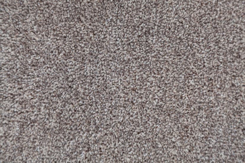 3f532d50-ec48-4cbb-ae5e-7e59220ccc52.webp
