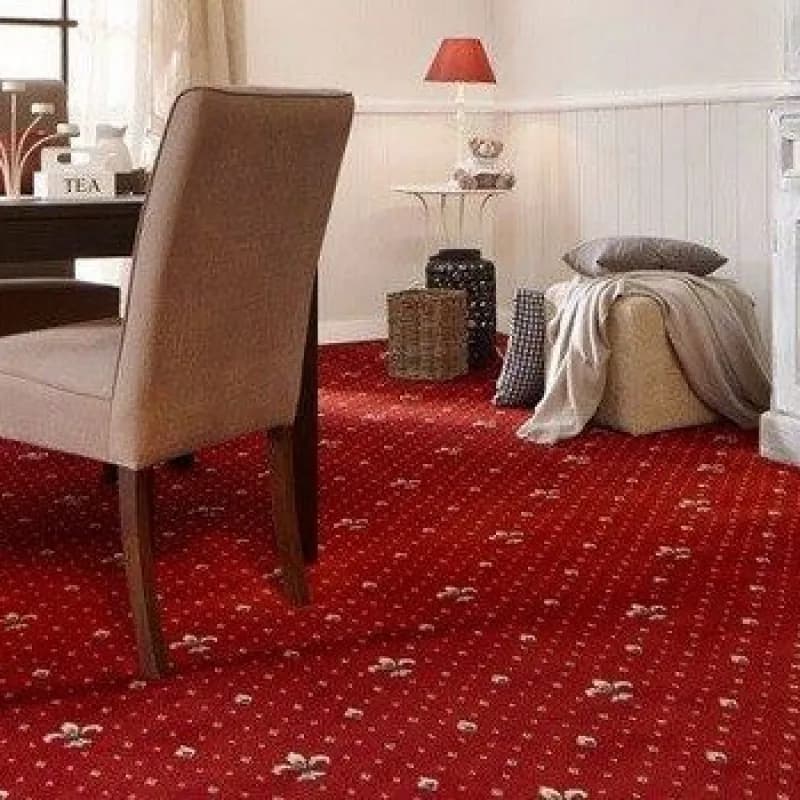 413d0202-d06c-42db-ba4a-1b495b687908.webp