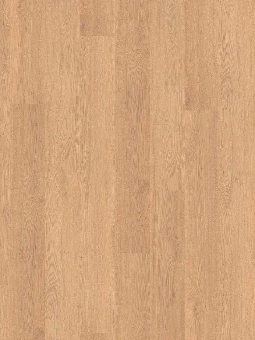 72682599-65c0-48a5-ba8f-2e548a3df912.webp