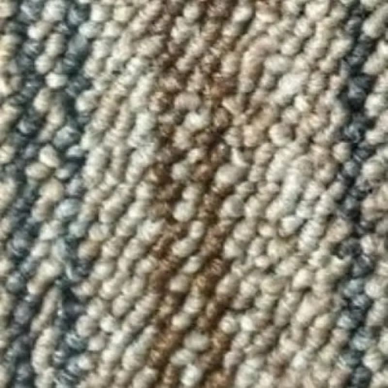9b3e6e28-ea09-4351-a0ed-dee357780d84.webp
