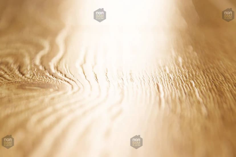 ba64ed06-6060-4f76-90e2-ff1d129027ba.webp