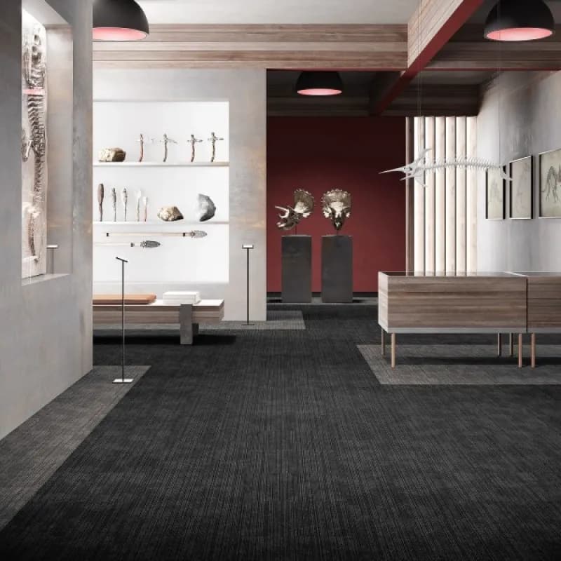 c77bd7df-dabd-4f42-8fa3-8d6ca9e37552.webp